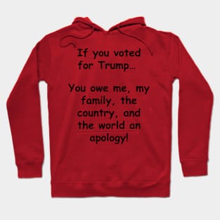 Aplogize for voting for Trump Hoodie